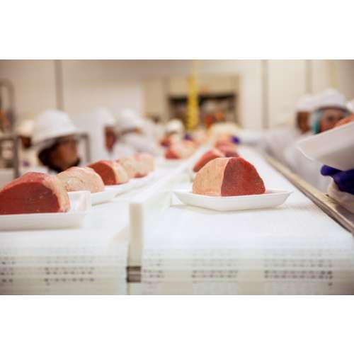 Medical – Food Handler